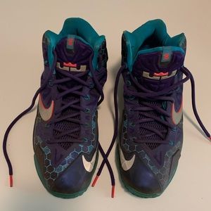 Nike Lebron James sneakers